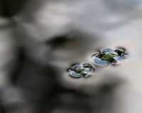 22 DortheChristensen, overflade, Fotomagerne Horsens