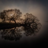 34 Dalsjo, Niklas_Spejling, Fotoklubben Focus Silkeborg