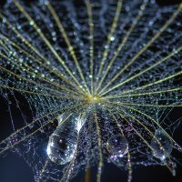 46 Ove, Strunck_Kristensen_drabe, Fotoklubben Focus Silkeborg