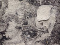 50 Lene, NIssen_Moegreen_Grundtvig, Horsens fotoklub