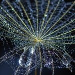 46 Ove, Strunck_Kristensen_drabe, Fotoklubben Focus Silkeborg