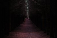 49 JoergenLind, StiISkoven, AFA Aarhus