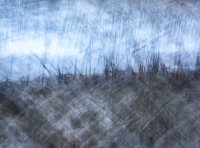 47 Benny, Staehr_Frossen_brink, Fotoklubben Focus Silkeborg